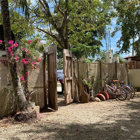Hotel Selva Bacalar - Free Bike Rental Buitenkant foto