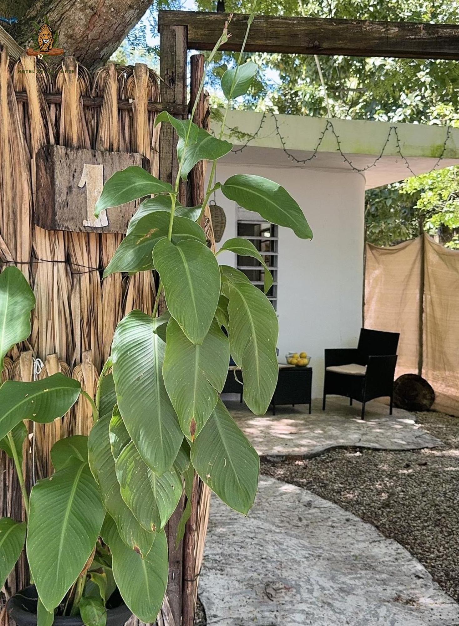 Hotel Selva Bacalar - Free Bike Rental Buitenkant foto