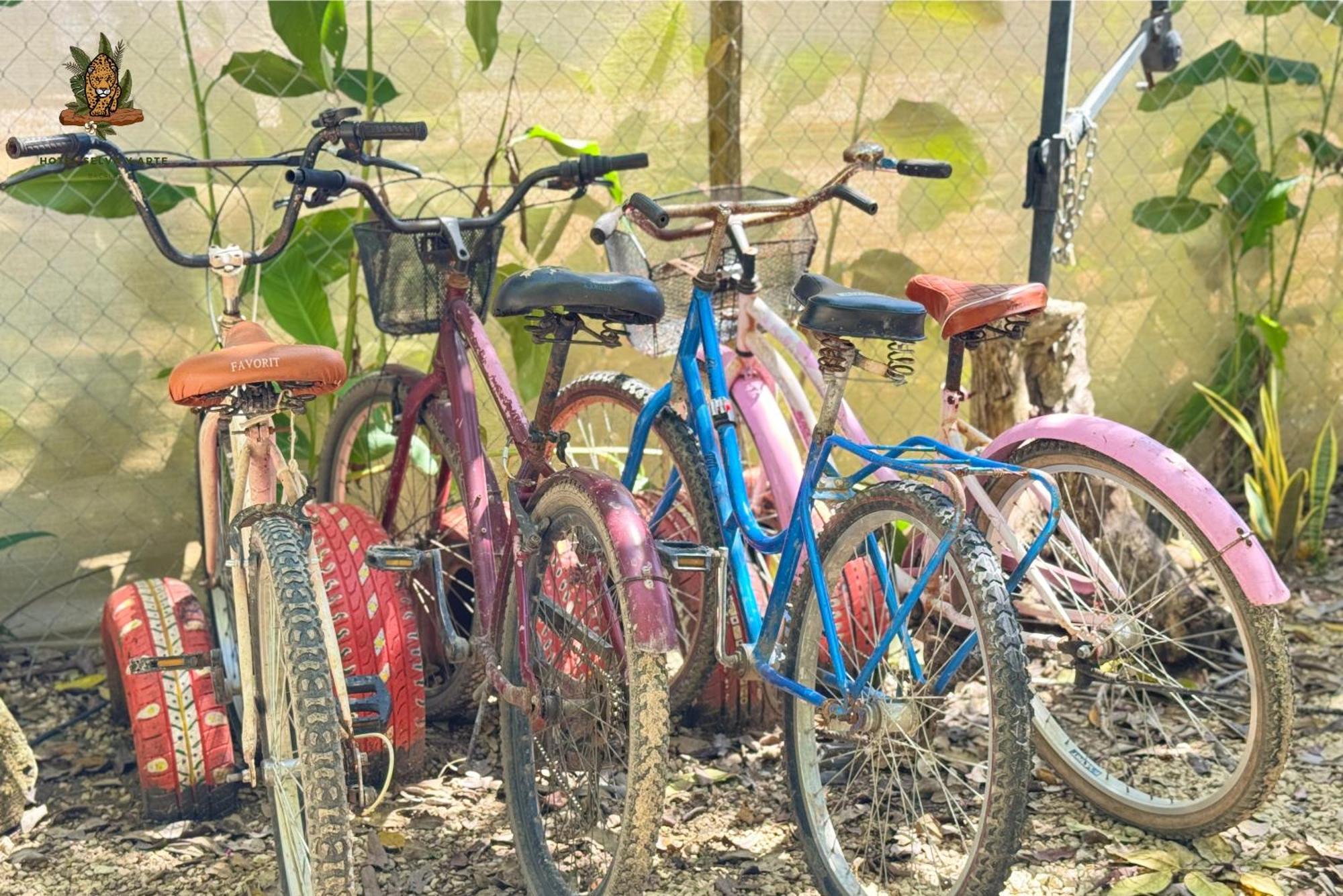 Hotel Selva Bacalar - Free Bike Rental Buitenkant foto